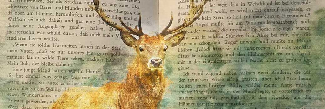 Collage – Hirsch vor aufgeschlagenem Buch